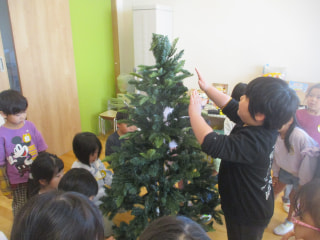 クリスマスツリーを飾りました🎄✨