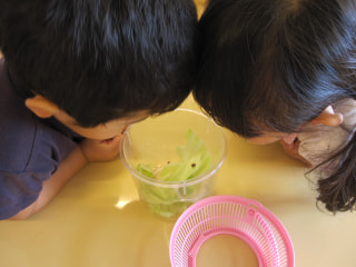 ♡最近のうさぎ組♡