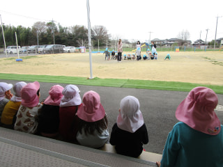 うさぎ組さんと遊んだよ🐰🐼