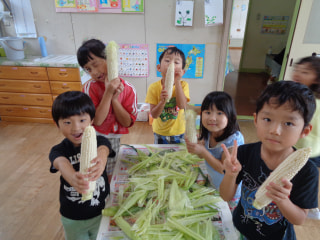 とうもろこしの皮むき🌽