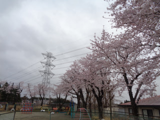 令和７年度　最後の日🌸